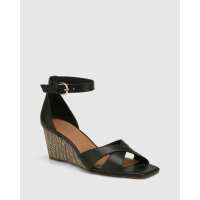 Read Wittner Reviews